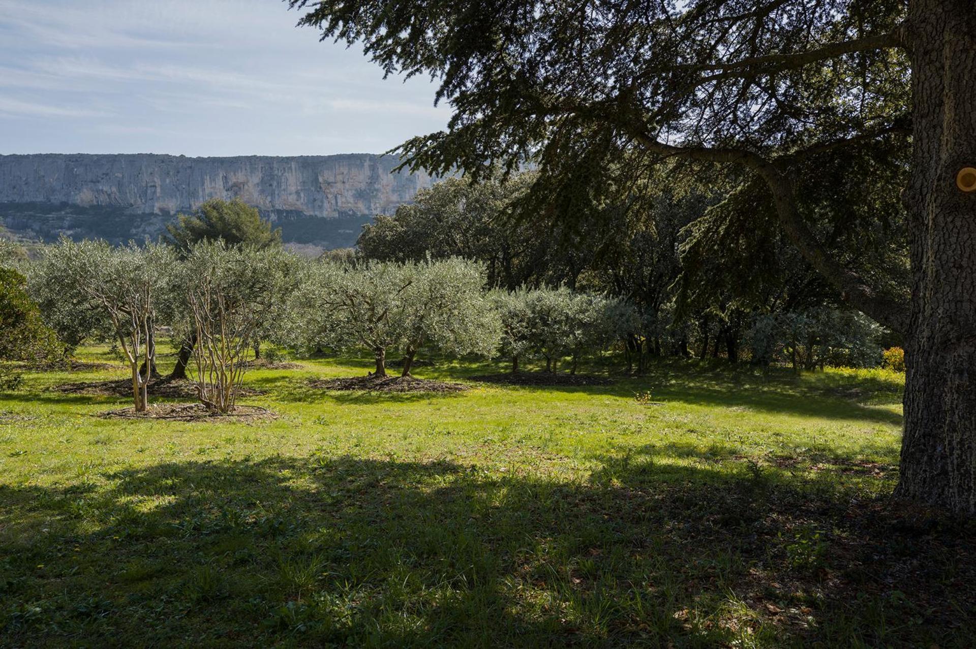 Villa Les Cistes Lioux Exterior foto